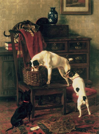 A Discreet Inquiry: Don